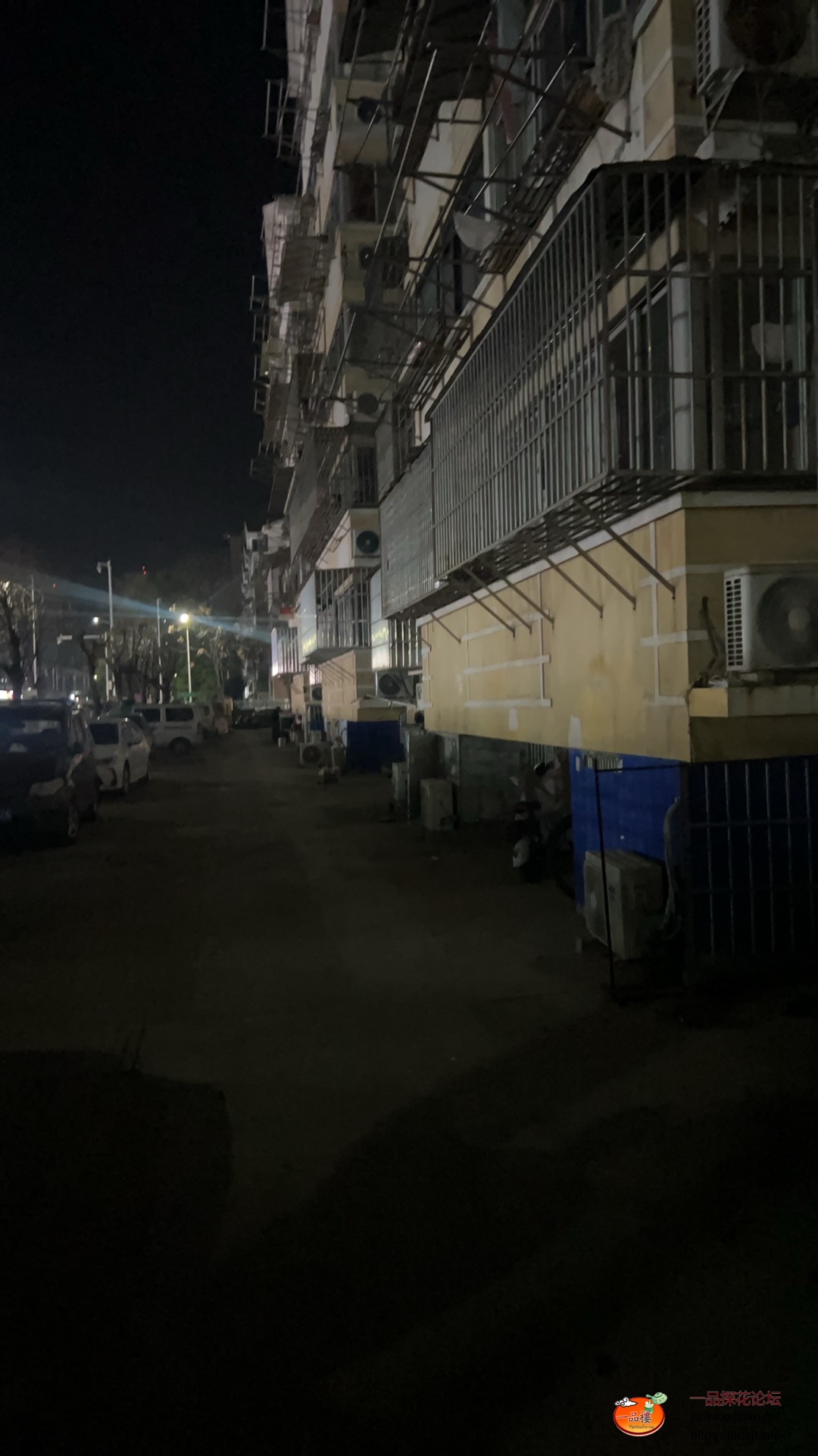 IMG_9766.jpeg