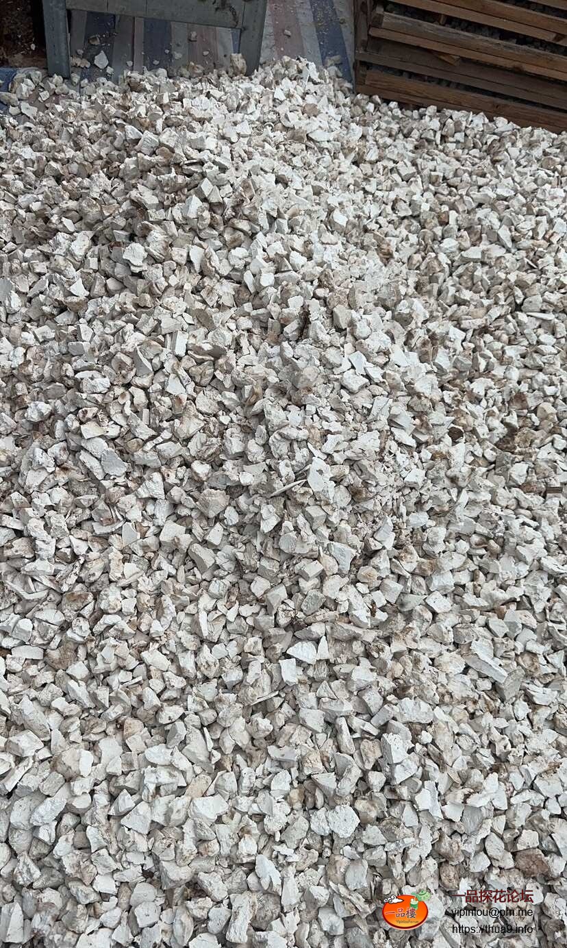 很多药厂的茯苓质量比这个还差很多.jpg