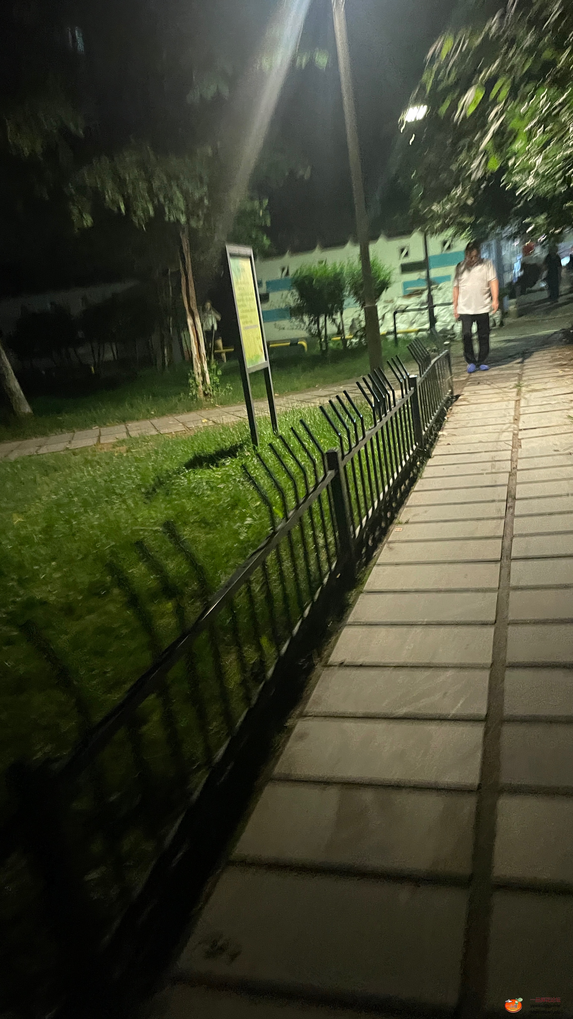 IMG_1869.jpeg