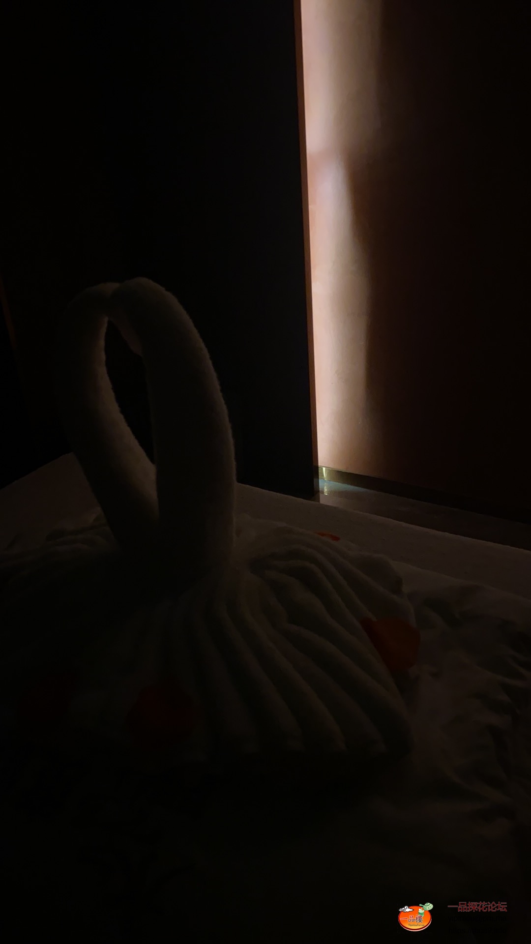 97F9485C-5A86-4D7B-8A4B-4080D609D776.jpeg
