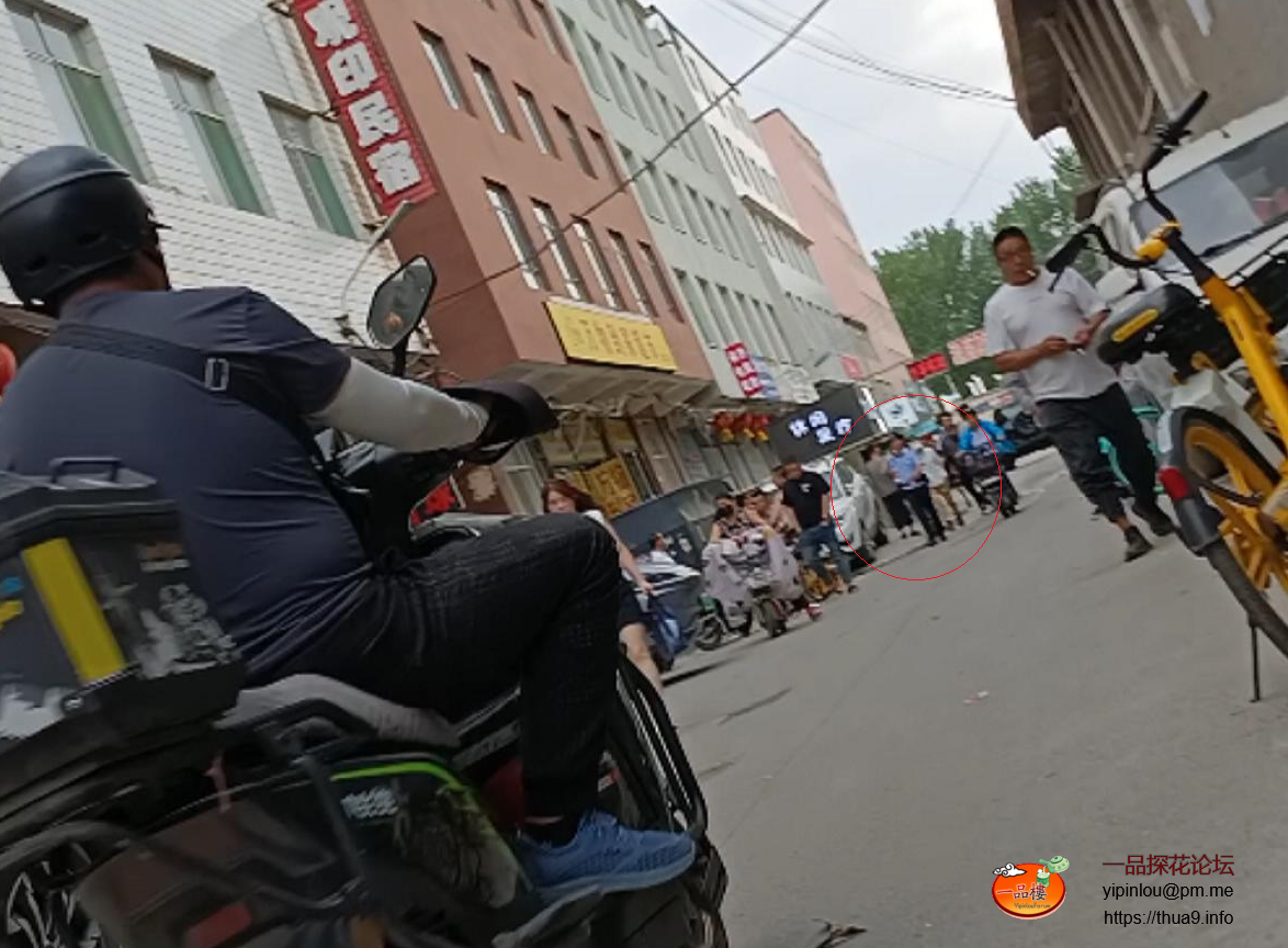 小马.png