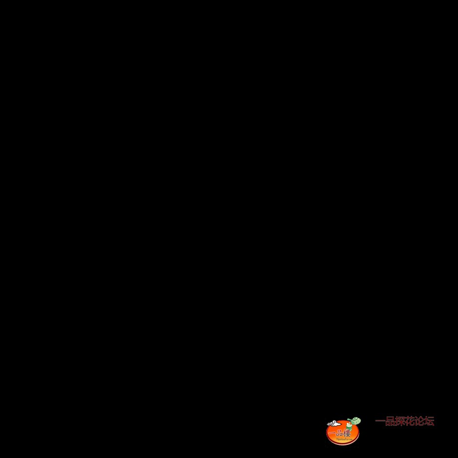 mmexport1758071935968.jpg