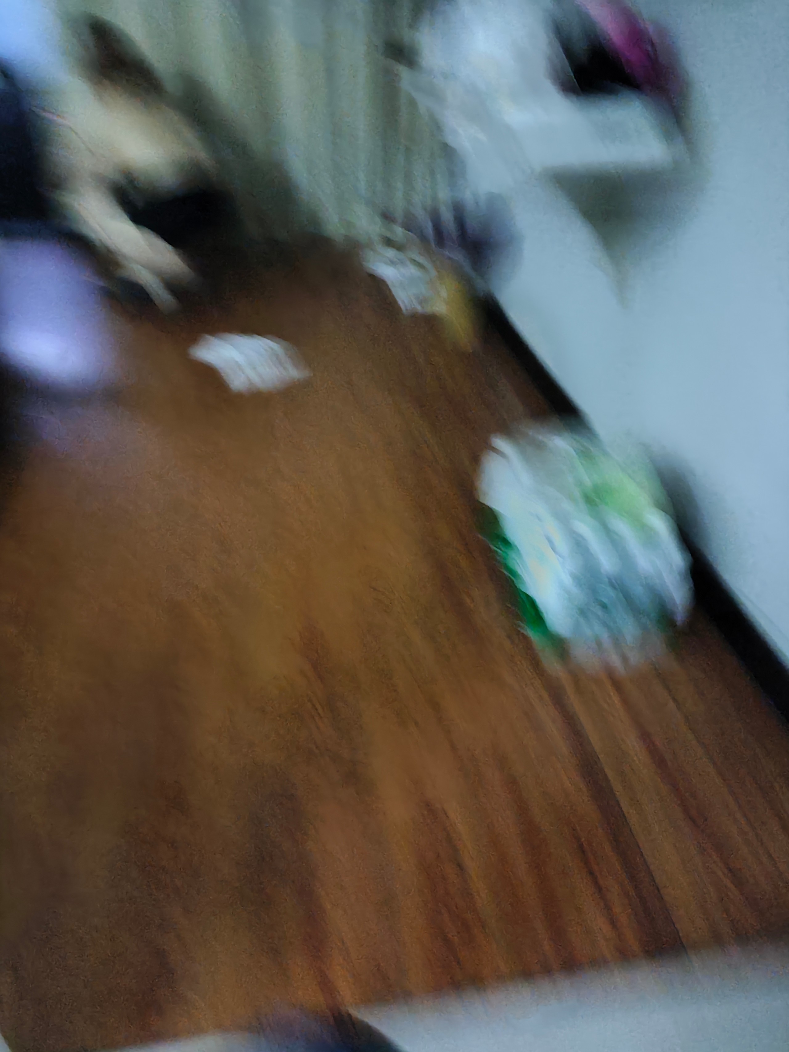 IMG_20251029_185704.jpg