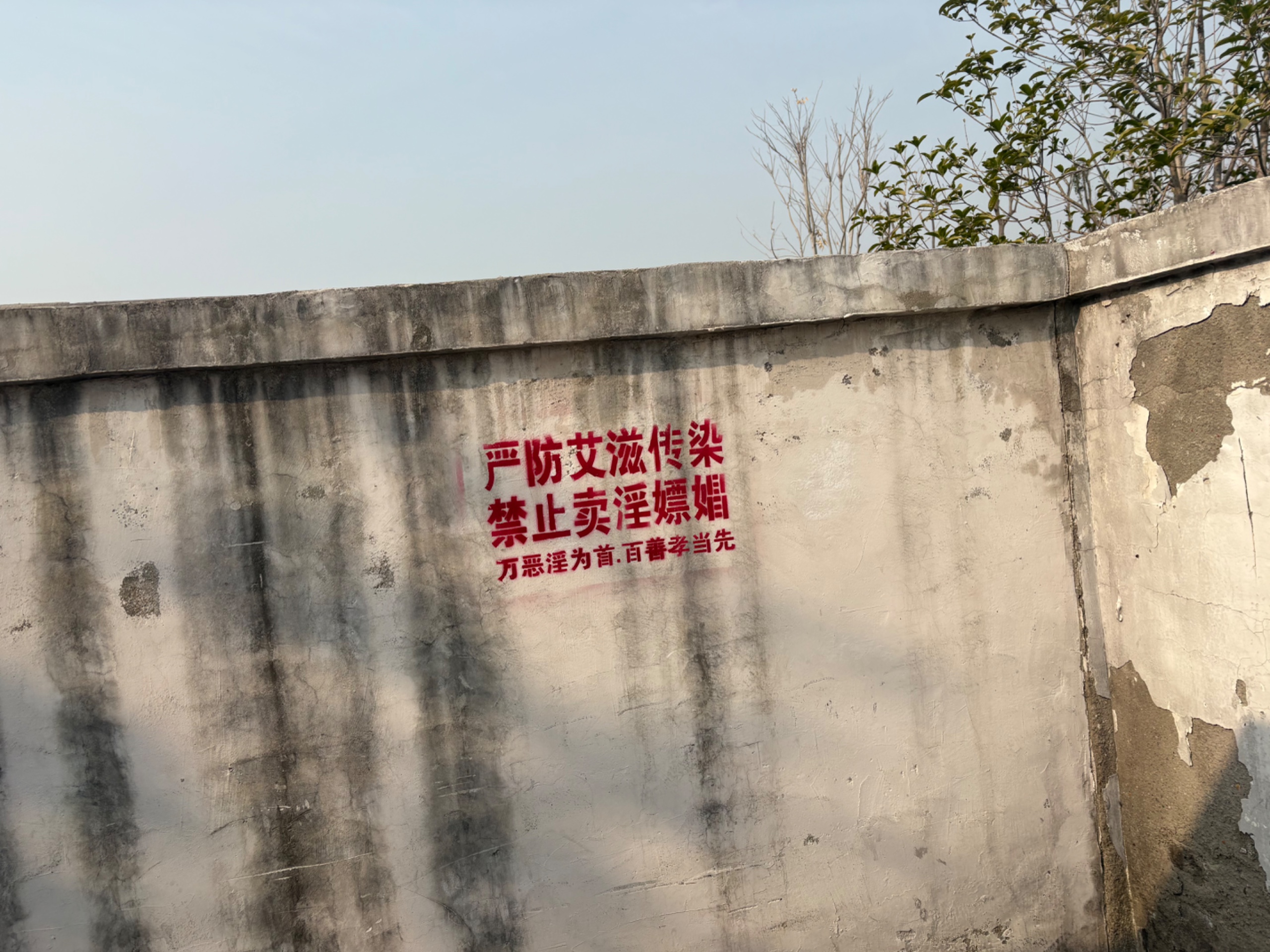 IMG_1687.jpeg