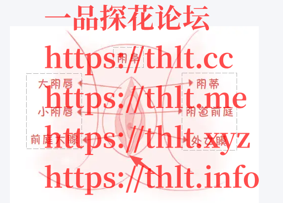 8a2dd4ff-cbca-4f19-942f-5f26912b96b6.png