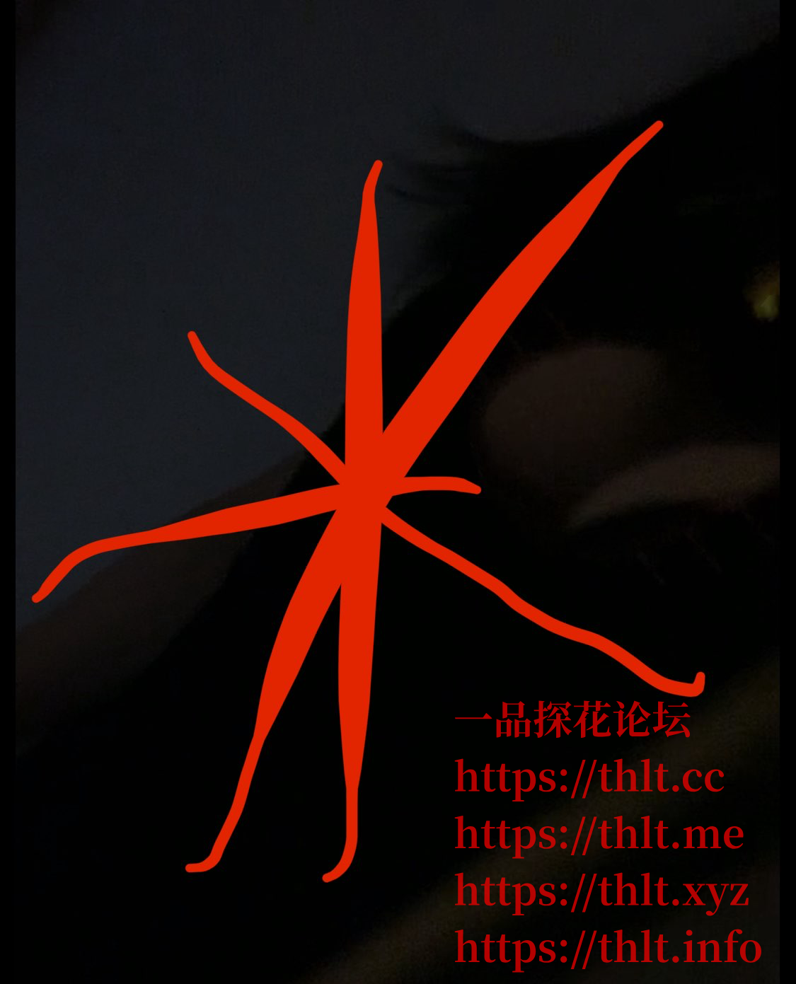 CE7C8FF62CC0522177D8BF3594ADCCEE.png