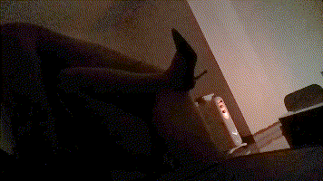ucgif_20260419150108.gif